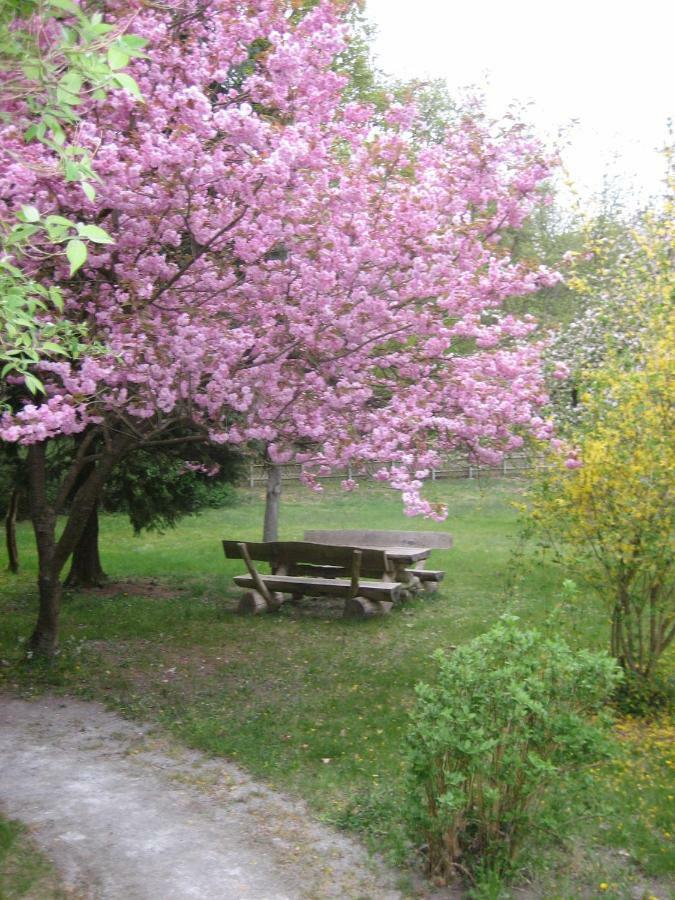 רוסטוק Ferienwohnung Ostseewald מראה חיצוני תמונה